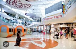 Thomson Plaza (D20), Shop House #567440431